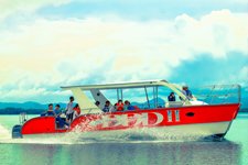 Best Samana Whale Watching Excursions in Samana Bay Dominican Republic.